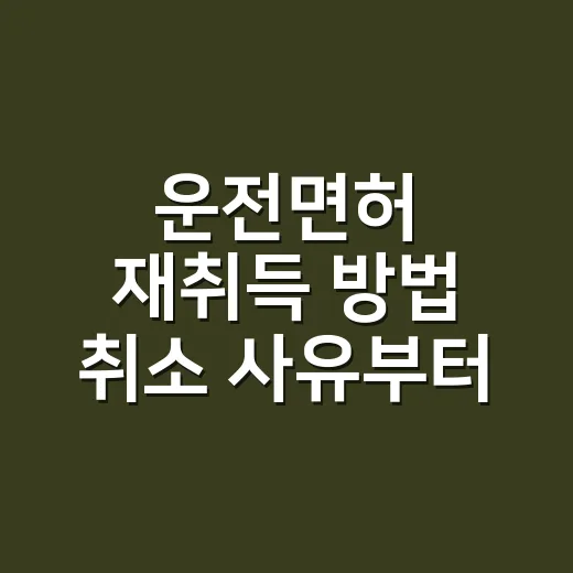운전면허 재취득 방법 취소 사유부터 확인하세요 - 요약