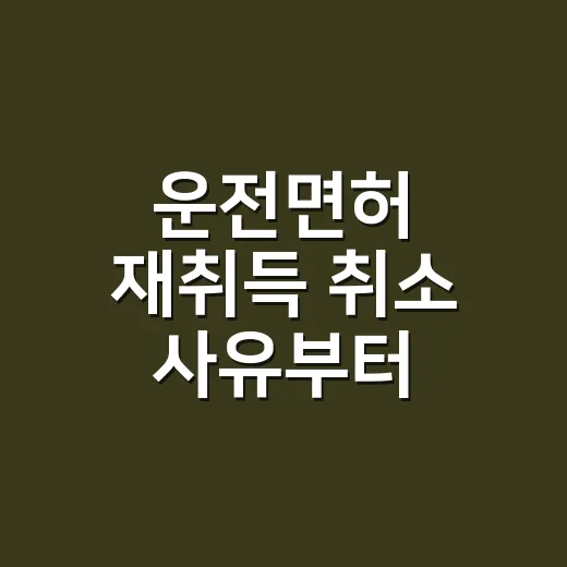 운전면허 재취득 취소 사유부터 확인하는 방법 - 요약