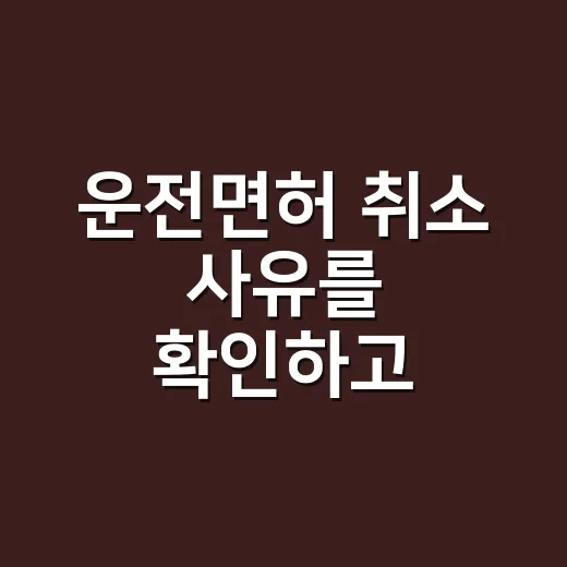 운전면허 취소 사유를 확인하고 대처하는 방법 - 요약