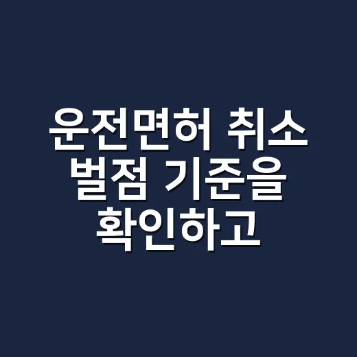 운전면허 취소 벌점 기준을 확인하고 막는 방법 - 요약