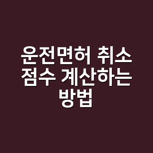 운전면허 취소 점수 계산하는 방법 - 요약