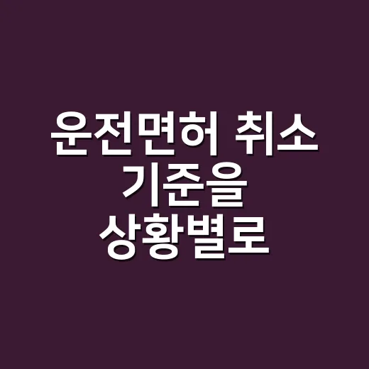 운전면허 취소 기준을 상황별로 확인하는 방법 - 요약