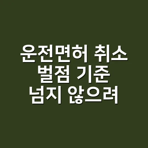 운전면허 취소 벌점 기준 넘지 않으려면 이렇게 - 요약