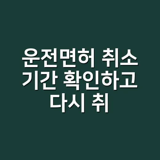운전면허 취소 기간 확인하고 다시 취득하는 방법 - 요약