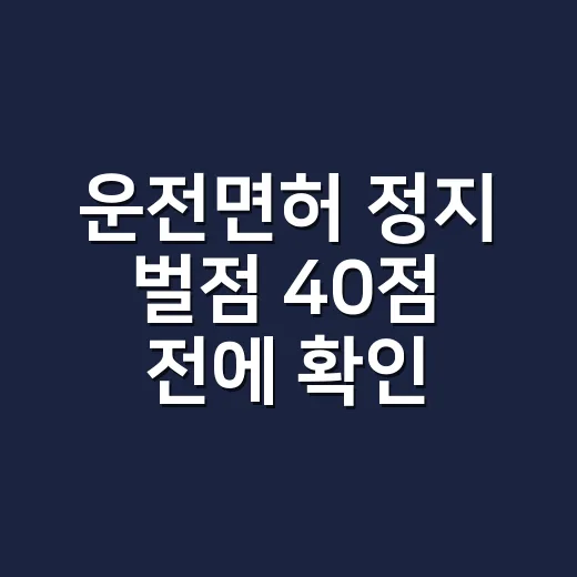 운전면허 정지 벌점 40점 전에 확인하는 방법 - 요약