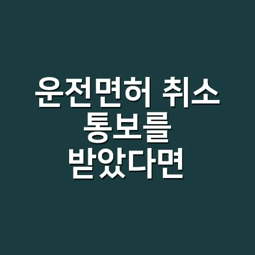 운전면허 취소 통보를 받았다면 처리하는 방법 - 요약
