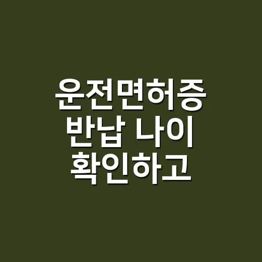 운전면허증 반납 나이 확인하고 신청하는 방법 - 요약