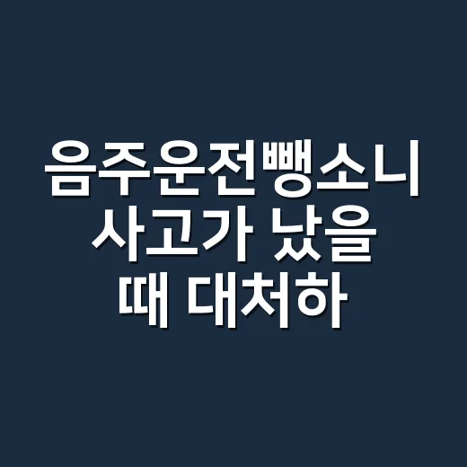 음주운전뺑소니 사고가 났을 때 대처하는 방법 - 요약