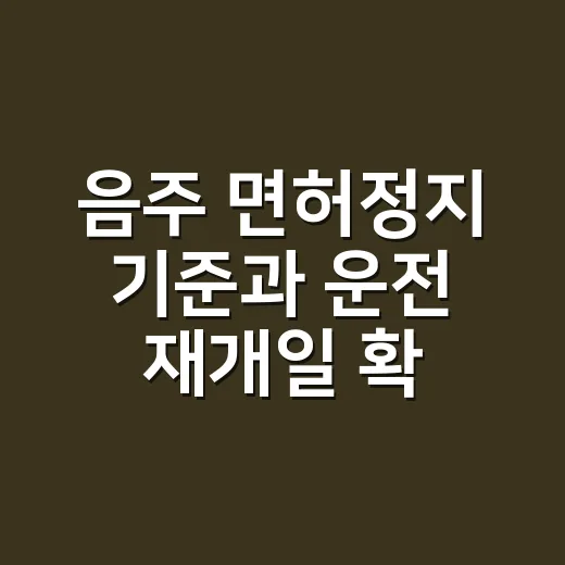 음주 면허정지 기준과 운전 재개일 확인하는 방법 - 요약