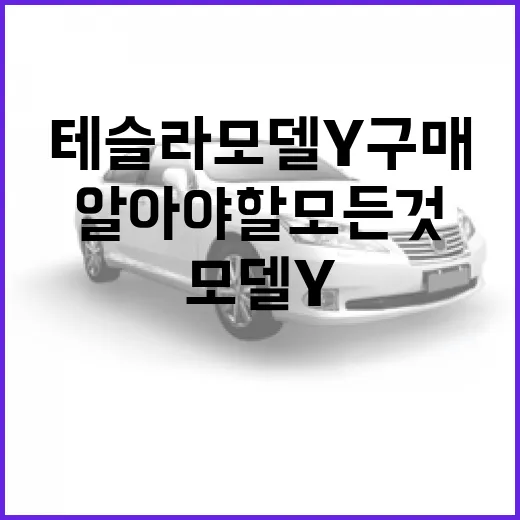 테슬라 모델 Y 구매 고려 시 알아야 할 모든 것 - 요약