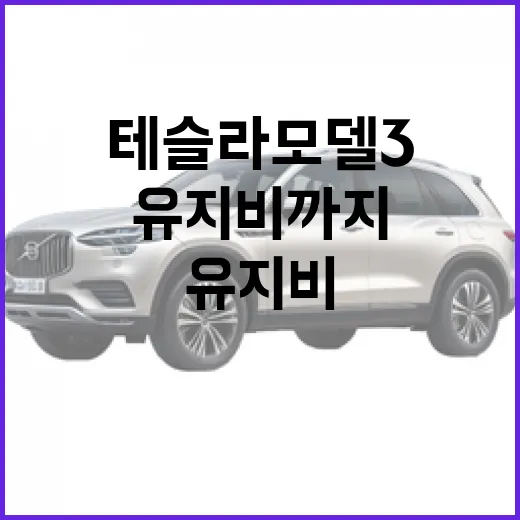 테슬라 모델3 처음 사려면 이렇게 비교하세요: 트림, 충전, 유지비까지 현실 체크 - 요약