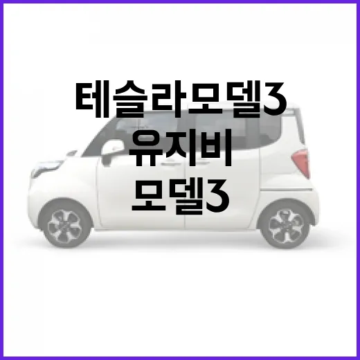 테슬라 모델3 구매하려면 이렇게 따져보세요: 트림, 충전, 유지비 기준 - 요약