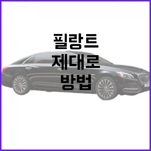 필랑트를 제대로 활용하는 방법 - 요약