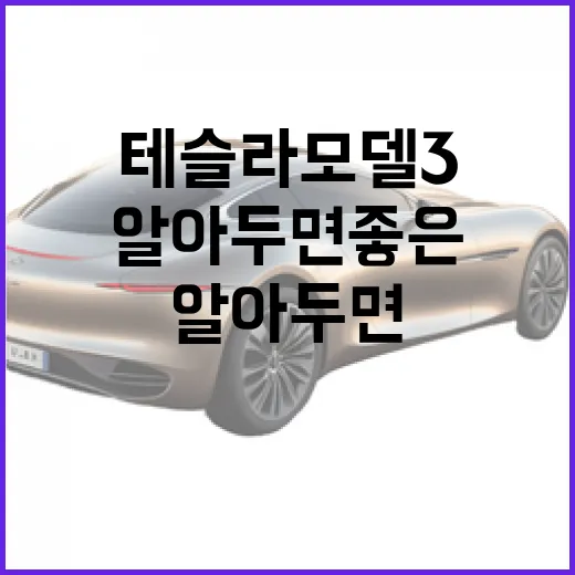 테슬라 모델3: 알아두면 좋은 구매 포인트 - 요약
