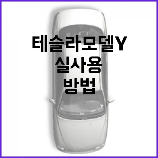 테슬라 모델Y 사기 전에 실사용 기준으로 따져보는 방법 - 요약