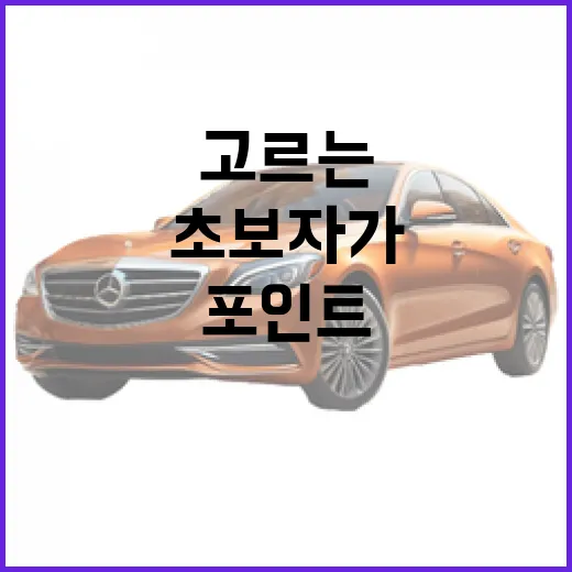 테슬라 모델3 제대로 고르는 방법, 초보자가 놓치기 쉬운 포인트 - 요약
