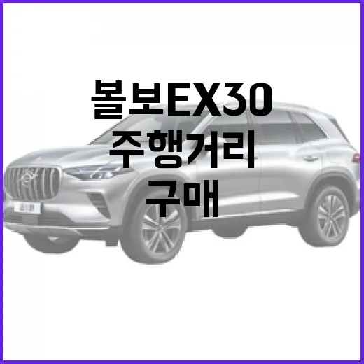 볼보 EX30 고르려면 이렇게 보세요: 가격, 주행거리, 실내까지 초보자 구매 가이드 - 요약