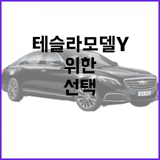 테슬라 모델 Y: 매력적인 선택을 위한 가이드 - 요약