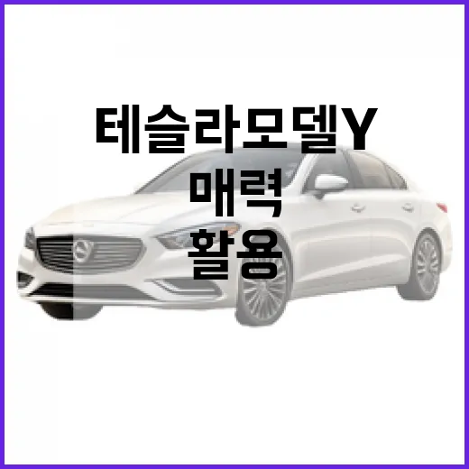 테슬라 모델 Y의 매력과 활용 방법 - 요약