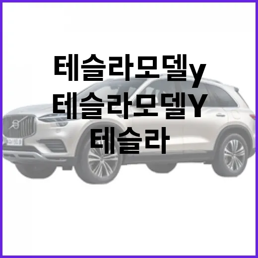테슬라 모델Y 처음 사려면 이렇게 고르면 됩니다 - 요약
