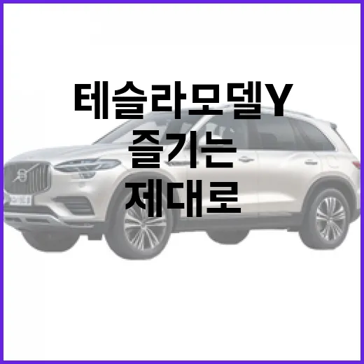 테슬라 모델 Y를 제대로 즐기는 방법 - 요약