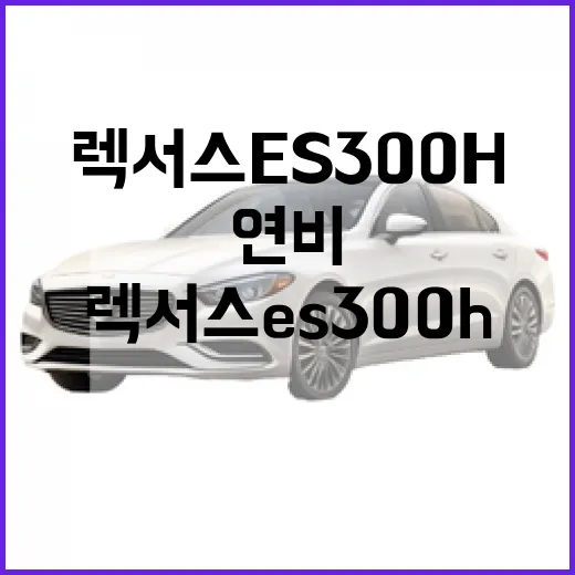 렉서스 ES300h 후회 없이 고르는 방법, 연비보다 먼저 봐야 할 것들 - 요약
