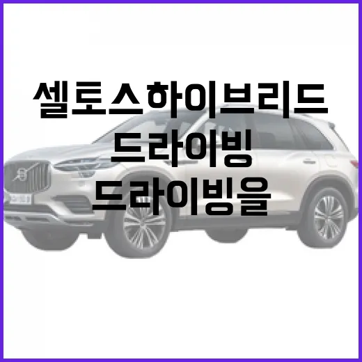 셀토스 하이브리드: 효율적인 드라이빙을 위한 필수 정보 - 요약