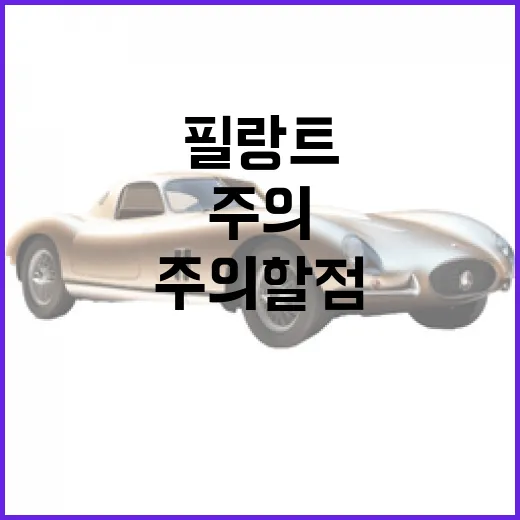 필랑트 유지보수 방법과 주의할 점 - 요약