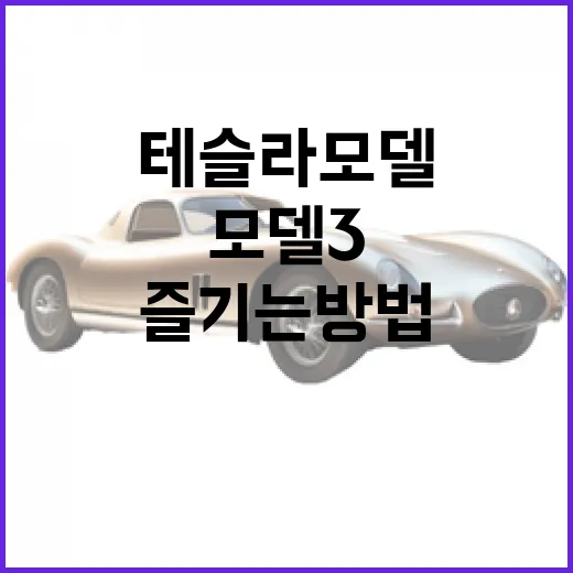 테슬라 모델3를 제대로 즐기는 방법 - 요약