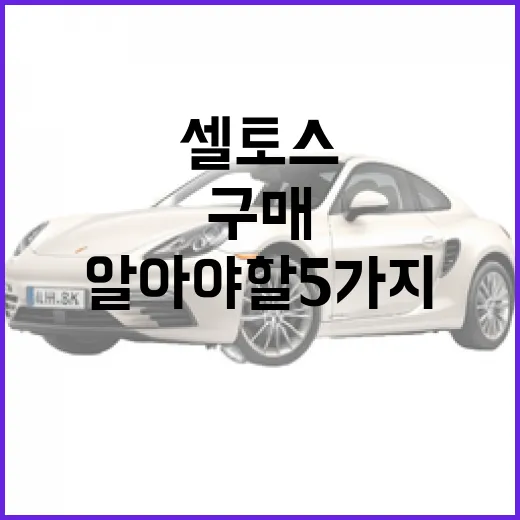 셀토스를 구매하려면 알아야 할 5가지 - 요약