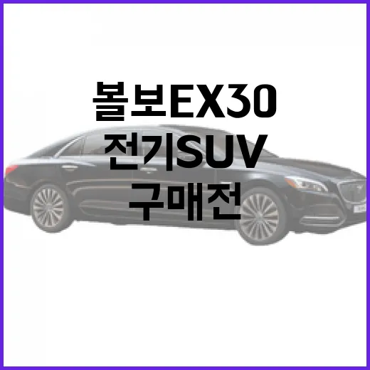 볼보 EX30 구매 전 확인하는 방법, 작은 전기 SUV를 고를 때 보는 기준 - 요약
