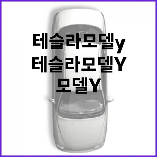 테슬라 모델y 고르려면 이렇게 비교하면 실패 확률이 줄어듭니다 - 요약
