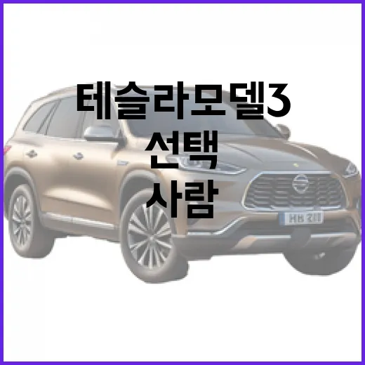 테슬라 모델3의 매력을 파헤치며, 왜 많은 사람들이 선택하는지 알아보기 - 요약