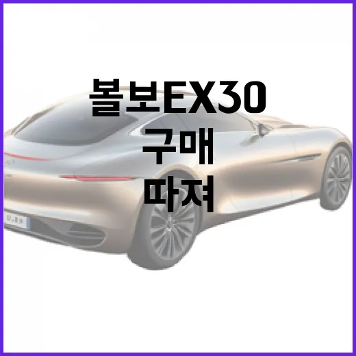 볼보 EX30 구매하려면 이렇게 따져보면 됩니다 - 요약