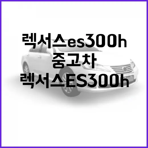 렉서스 ES300h 제대로 고르는 방법, 연비와 승차감부터 중고차 체크까지 - 요약