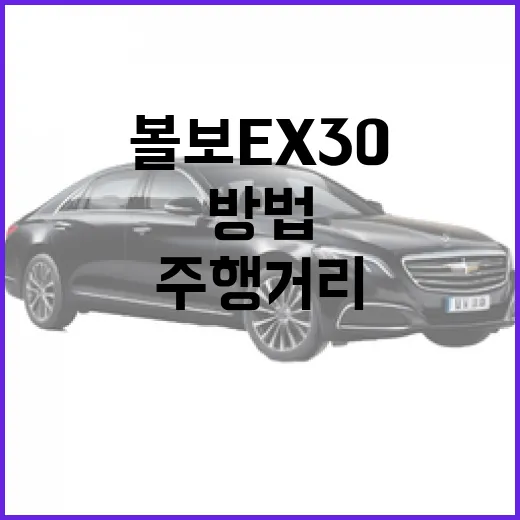 볼보 EX30 고르려면 이렇게 보세요: 주행거리, 트림, 장단점 체크 방법 - 요약