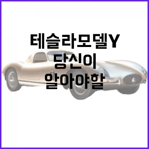 테슬라 모델Y, 당신이 알아야 할 모든 것 - 요약