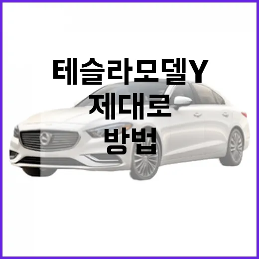 테슬라 모델Y를 제대로 이해하는 방법 - 요약