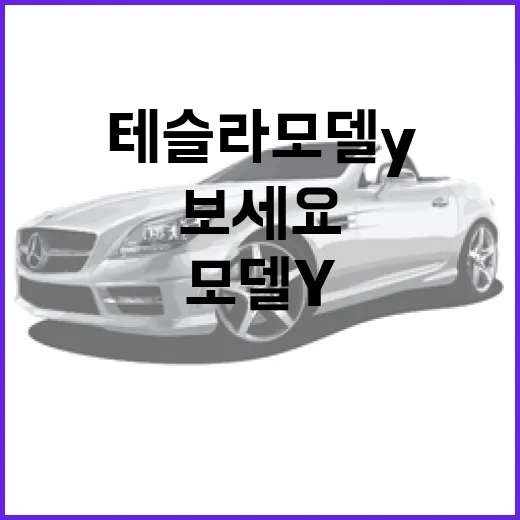 테슬라 모델Y 구매 전 후회 줄이는 방법, 트림·충전·유지비까지 이렇게 보세요 - 요약