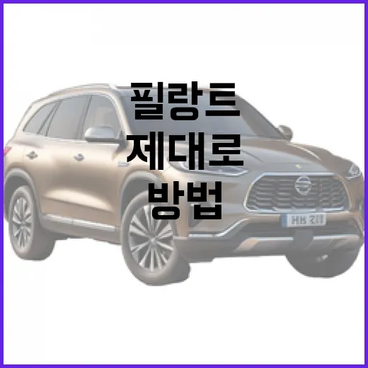 필랑트를 제대로 사용하는 방법 - 요약