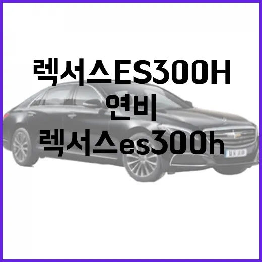 렉서스 ES300h 제대로 고르는 방법, 연비보다 먼저 봐야 할 것들 - 요약