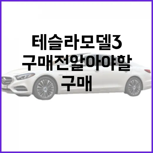 테슬라 모델3 구매 전 알아야 할 필수 정보 - 요약
