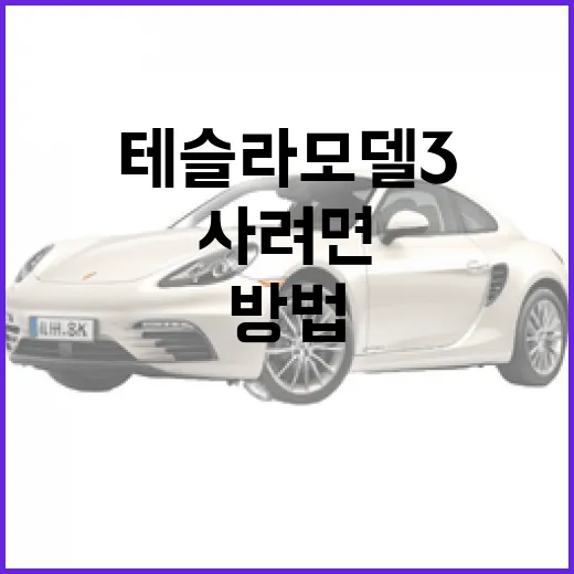 테슬라 모델3 고르는 방법, 처음 사려면 이렇게 비교하세요 - 요약