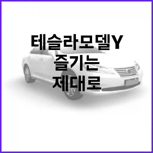 테슬라 모델 Y, 제대로 즐기는 방법 - 요약