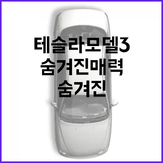 테슬라 모델3의 숨겨진 매력과 활용법 - 요약