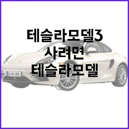 테슬라 모델3 처음 사려면 이렇게 고르면 됩니다 - 요약