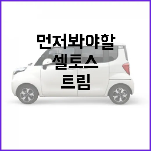 셀토스 고르는 방법, 트림보다 먼저 봐야 할 선택 기준 - 요약