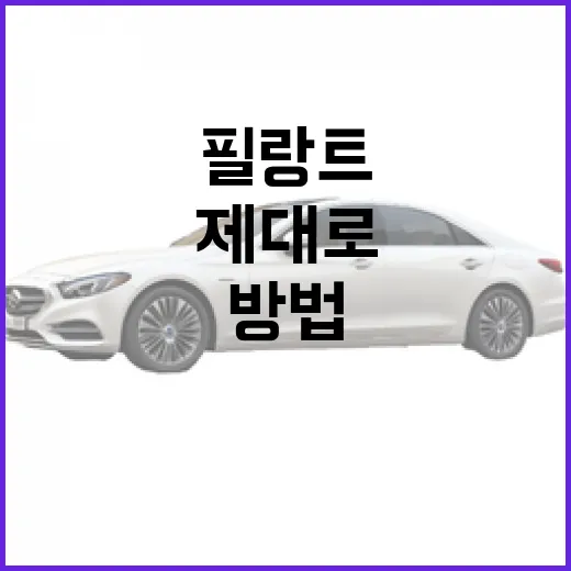 필랑트를 제대로 활용하는 방법 - 요약