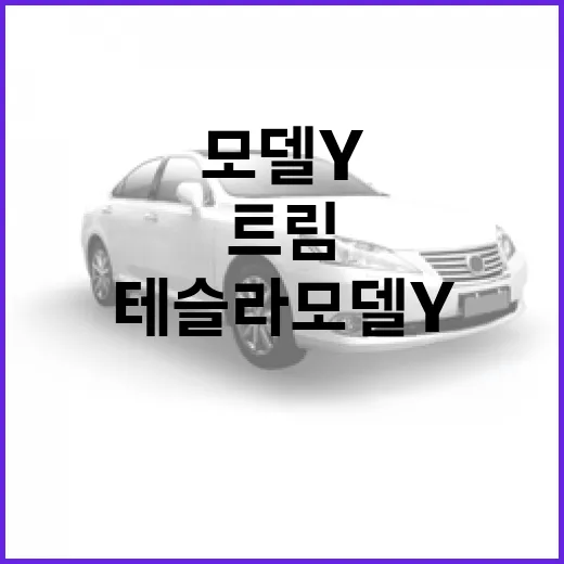 테슬라 모델Y 사려면 이렇게 비교하면 됩니다: 트림, 충전, 유지비까지 보는 방법 - 요약