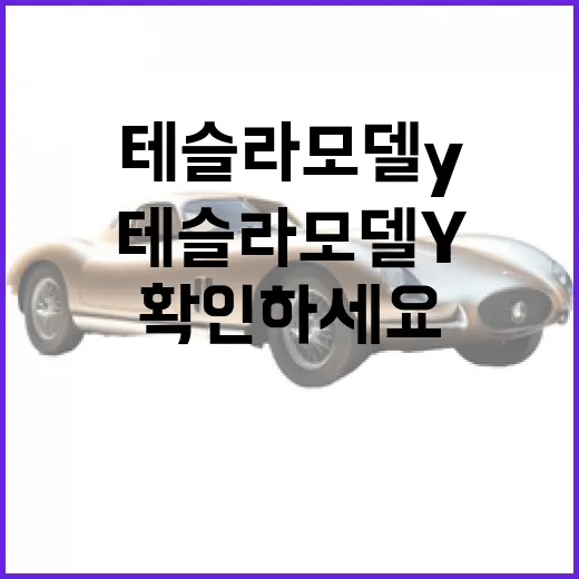 테슬라 모델Y 처음 사려면 이렇게 확인하세요 - 요약